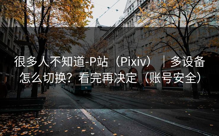 很多人不知道-P站（Pixiv）｜多设备怎么切换？看完再决定（账号安全）