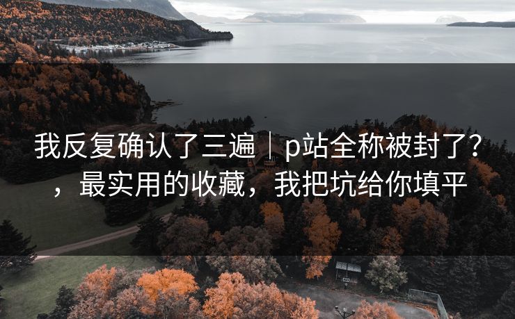 我反复确认了三遍｜p站全称被封了？，最实用的收藏，我把坑给你填平
