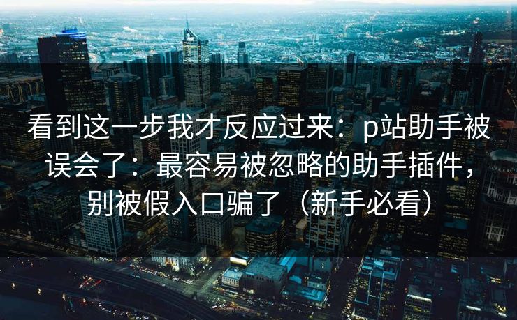 看到这一步我才反应过来：p站助手被误会了：最容易被忽略的助手插件，别被假入口骗了（新手必看）