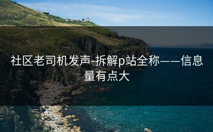 社区老司机发声-拆解p站全称——信息量有点大