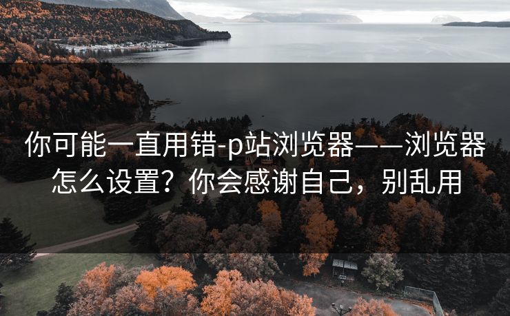 你可能一直用错-p站浏览器——浏览器怎么设置?你会感谢自己,别乱用