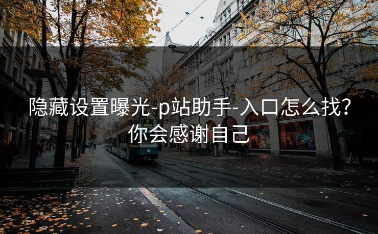 隐藏设置曝光-p站助手-入口怎么找？你会感谢自己
