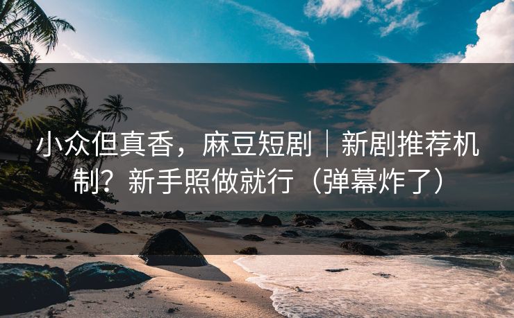 小众但真香，麻豆短剧｜新剧推荐机制？新手照做就行（弹幕炸了）