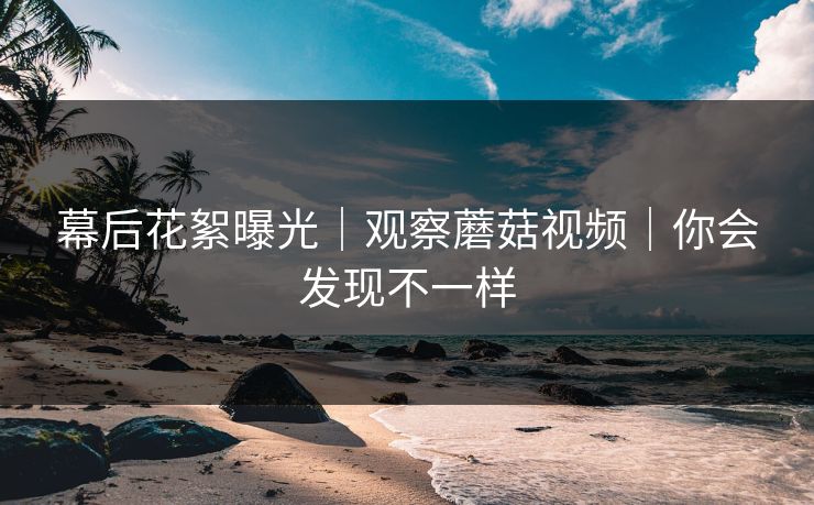 幕后花絮曝光｜观察蘑菇视频｜你会发现不一样