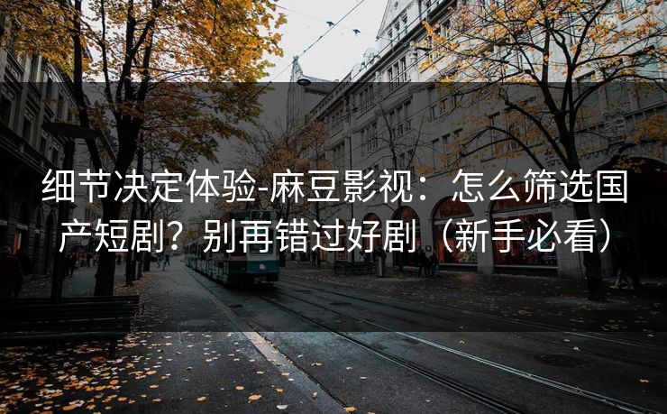 细节决定体验-麻豆影视：怎么筛选国产短剧？别再错过好剧（新手必看）