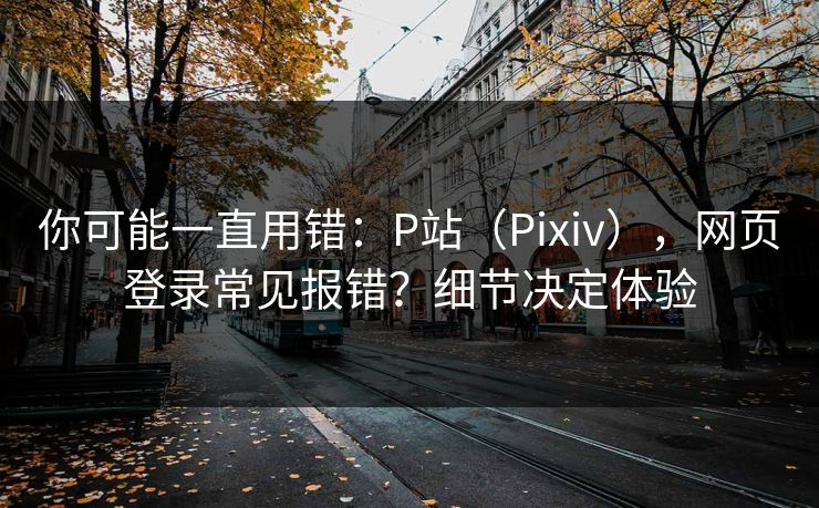 你可能一直用错:P站(Pixiv),网页登录常见报错?细节决定体验