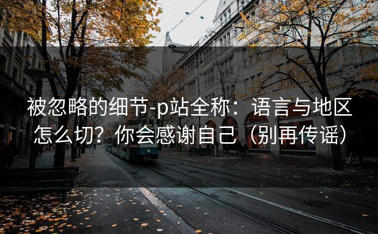 被忽略的细节-p站全称：语言与地区怎么切？你会感谢自己（别再传谣）